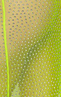 Rhinestone Mesh Cover Up Skirt - Neon Green - SohoGirl.com