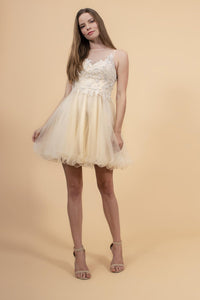 Elizabeth K GS1607 Embroidered Bodice Tulle Short Dress - Champagne - SohoGirl.com
